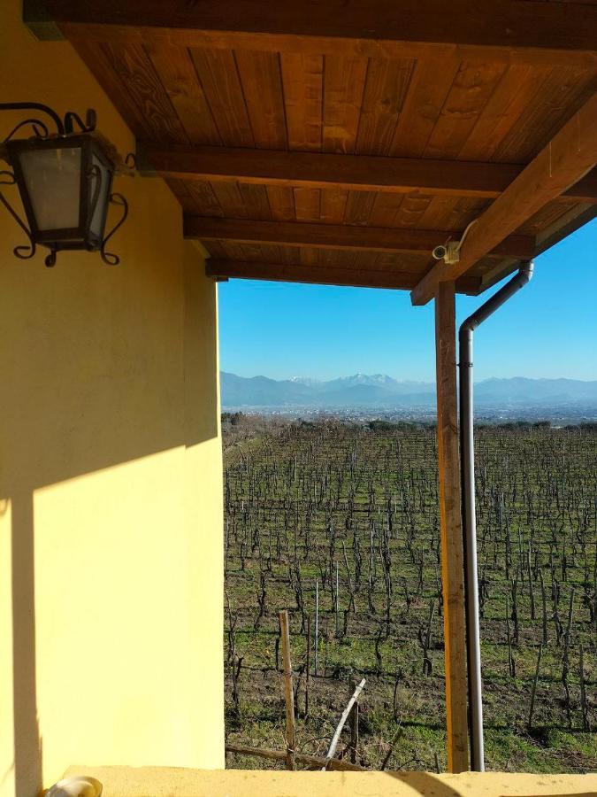Vesuvio Inn Bed & Wine Experience Boscotrecase Exterior photo