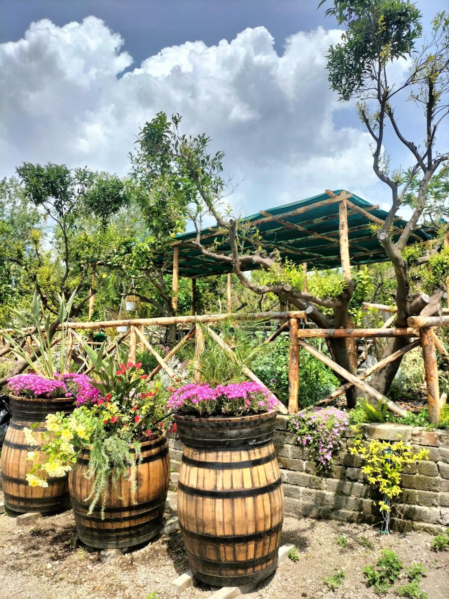 Vesuvio Inn Bed & Wine Experience Boscotrecase Exterior photo